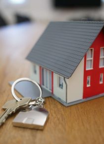 tierra-mallorca-rgJ1J8SDEAY-unsplash (1) (1)